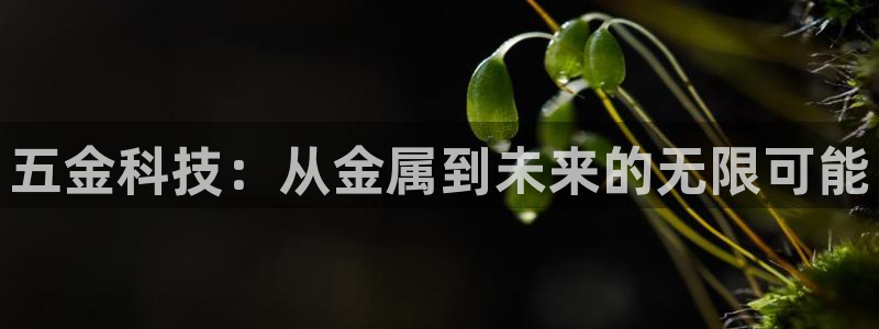 天狮娱乐c 判官