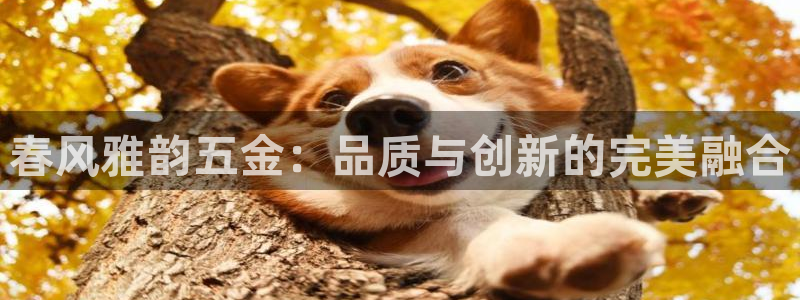 天狮娱乐b 判官是什么