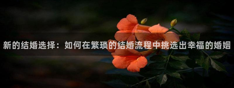 天狮娱乐股东主管