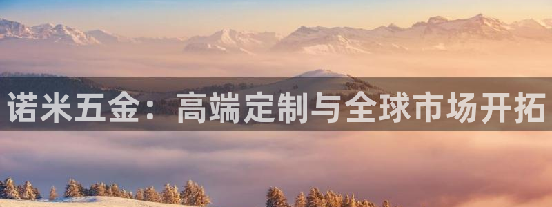 天狮娱乐怎么做