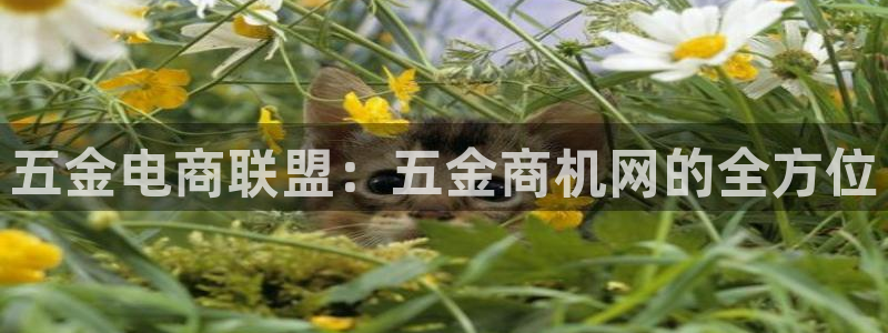 天狮娱乐招商87277