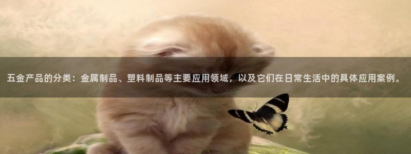 天狮娱乐怎么代理