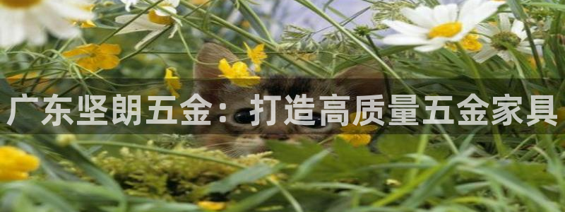 天狮娱乐资金安全吗