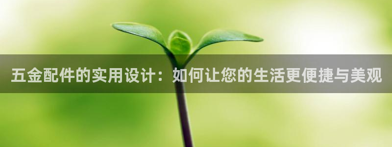 天狮娱乐p实 权