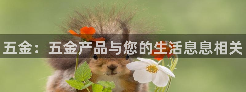 天狮娱乐下载网址