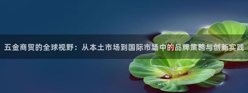 天狮娱乐指尖可