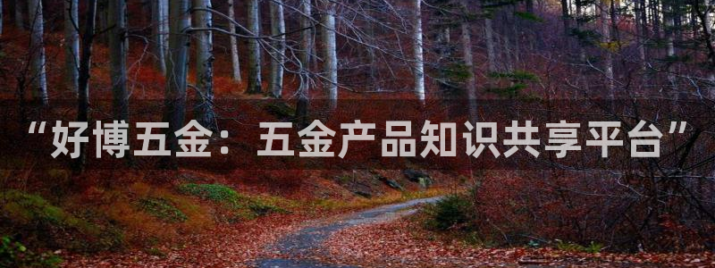 天狮娱乐平台下载