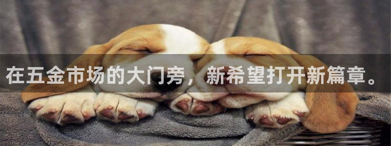 天狮娱乐反点啥意思