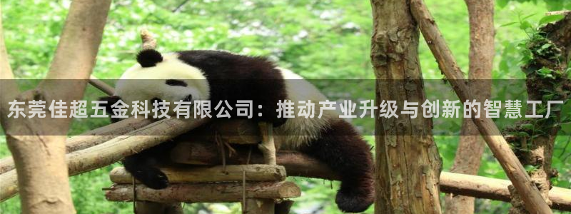 天狮娱乐非法吗