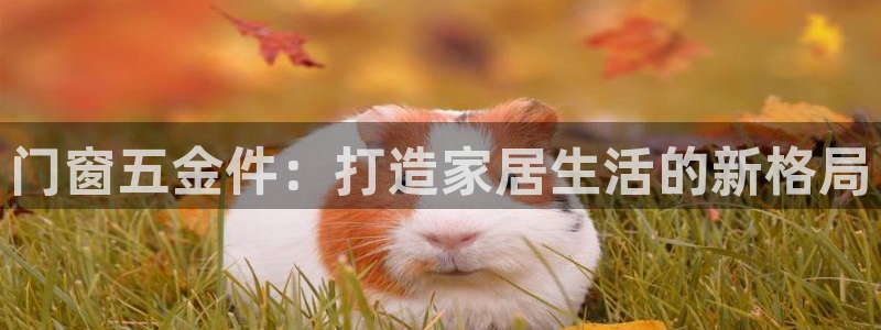 天狮国际娱乐平台