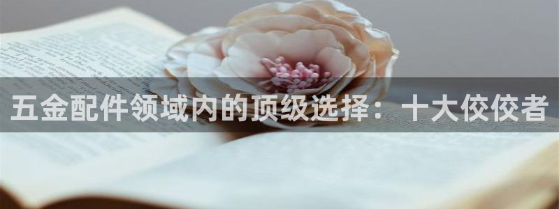 天狮娱乐代理找谁