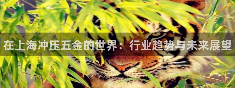 天狮娱乐嘉扣 o