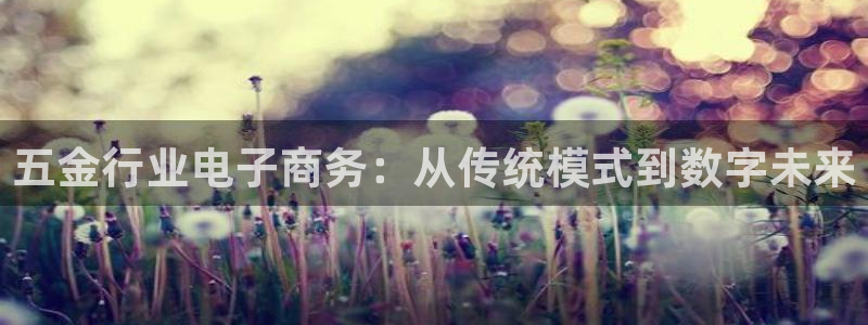 天狮娱乐代理怎么做