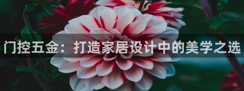 天狮娱乐 amp u招商35980