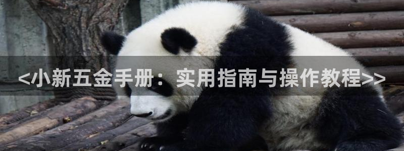 天狮娱乐彩票平台黑钱吗