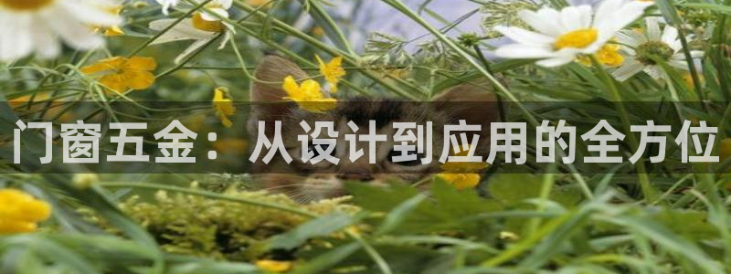 天狮娱乐股东88383