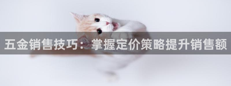 天狮娱乐 b招商61166