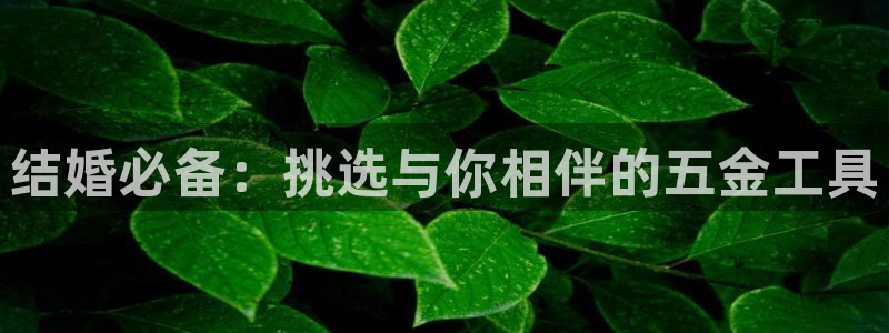 天狮娱乐所