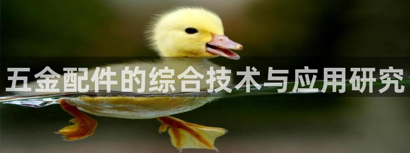 天狮娱乐怎么做