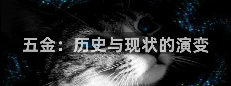 蓝狮娱乐招商天原判官333OO