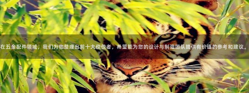 天狮娱乐问天神