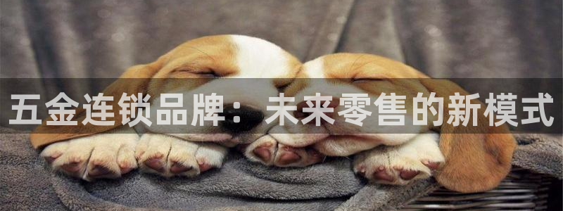 天狮娱乐-扣 股东