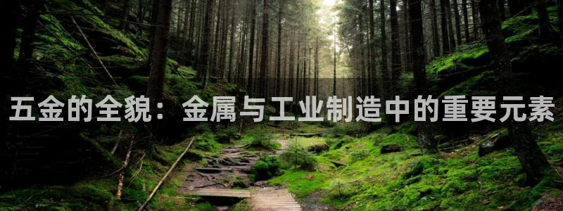 天狮娱乐e招d商98732