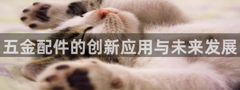 天狮娱乐股东36633