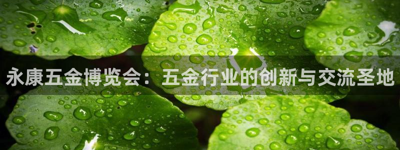 天狮娱乐专线