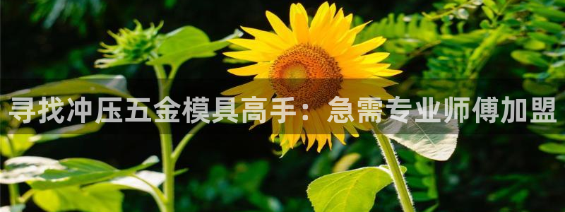 有玩天狮娱乐